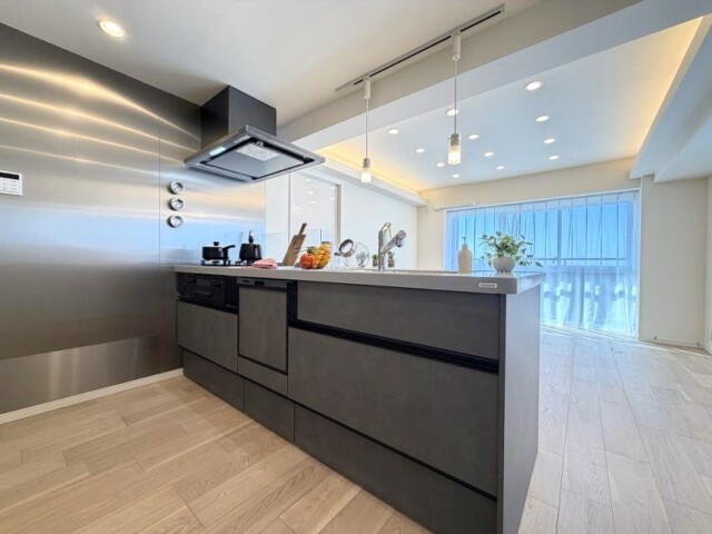 柿の木坂パレス キッチン