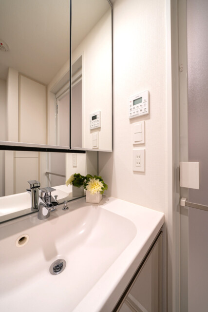 パークタワー勝どきミッド 洗面室