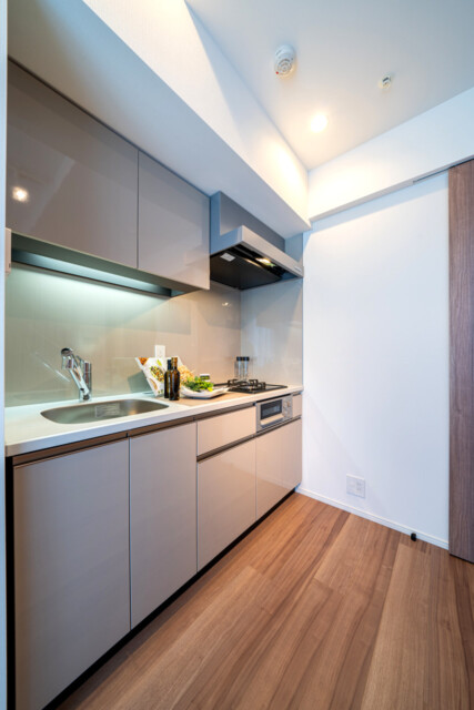 パークタワー勝どきミッド K