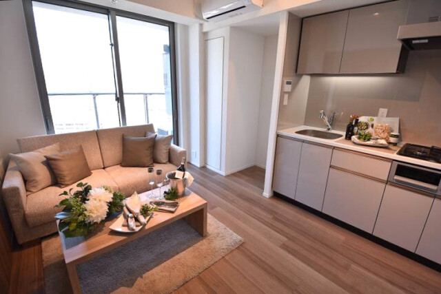 パークタワー勝どきミッド DK