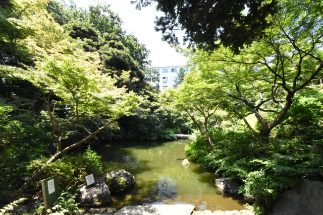 池田山公園