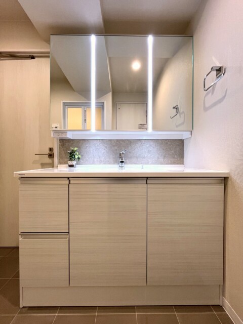 ハイラーク五反田 洗面室