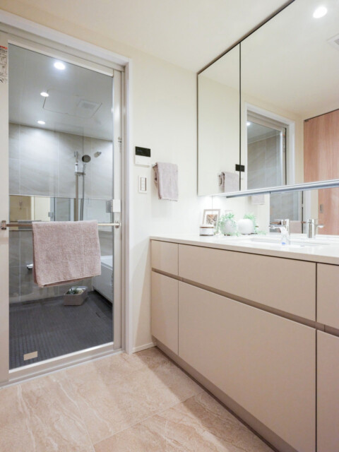 東急ドエル・プレステージ池田山クレアモント 洗面室