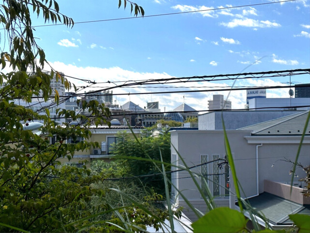 東急ドエル・プレステージ池田山クレアモント 眺望