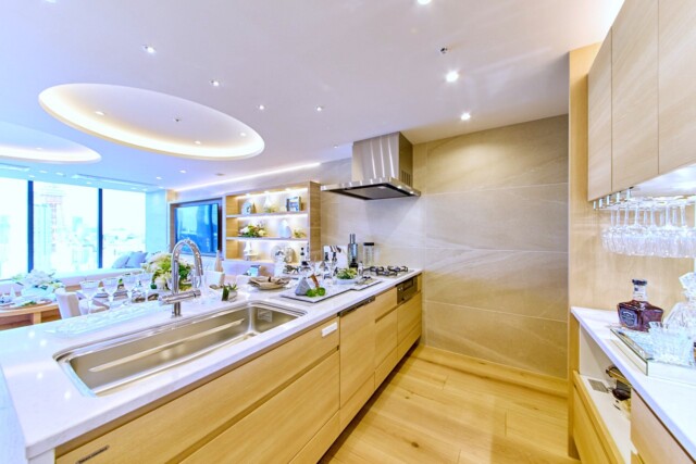 シティタワー麻布十番 K