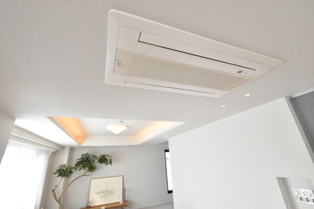 パーク・ハイム新町三丁目 LDK