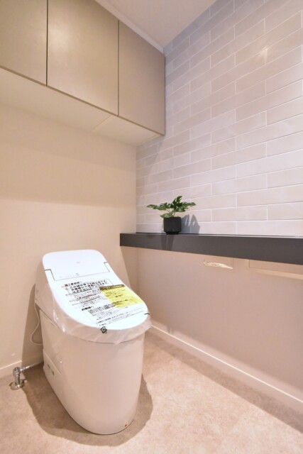 パーク・ハイム新町三丁目 トイレ2