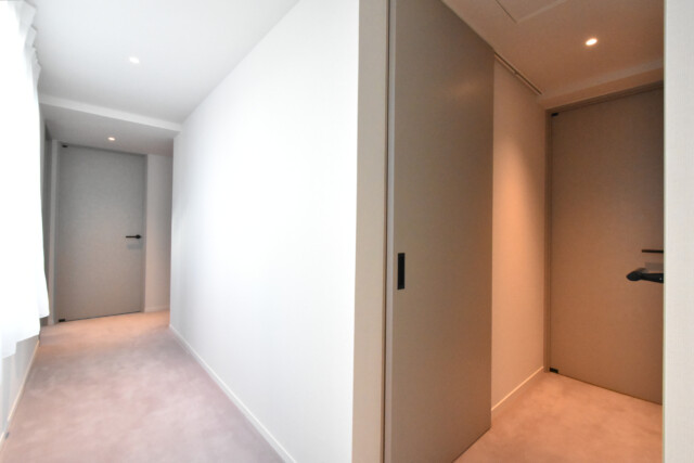 パーク・ハイム新町三丁目 サニタリー