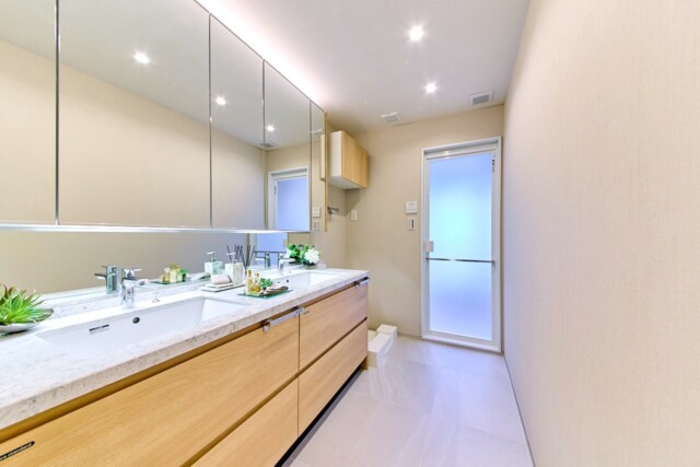 シティタワー麻布十番 洗面室