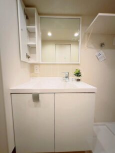 秀和幡ケ谷レジデンス 洗面室