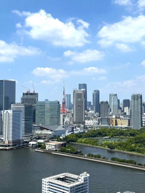 勝どきザ・タワー　眺望