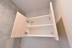 ザ・クレストタワー トイレ