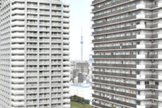 ザ・クレストタワー 眺望