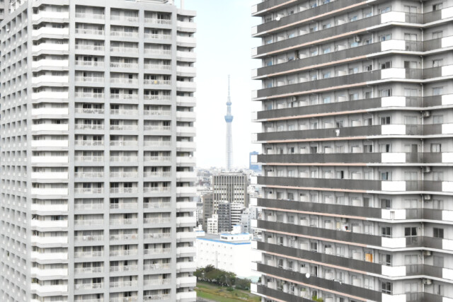 ザ・クレストタワー 眺望