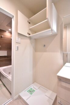 ザ・クレストタワー 洗面室