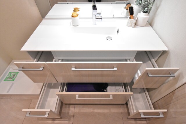 ザ・クレストタワー 洗面室