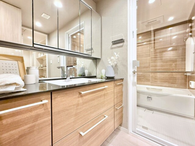 勝どきザ・タワー 洗面室