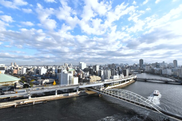 ザ・パークハウス浅草橋タワーレジデンス 眺望